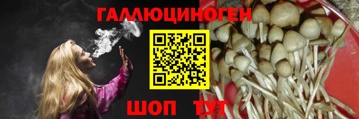 Галлюциногенные грибы мухоморы Каменка