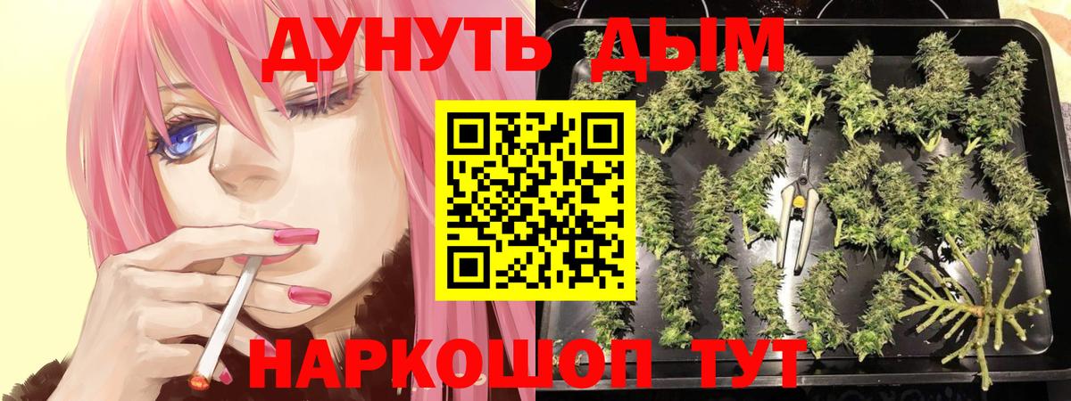 Каннабис тримм  Вход с VPN  Шишки марихуана индика  Каменка  Бошки марихуана Ganja 